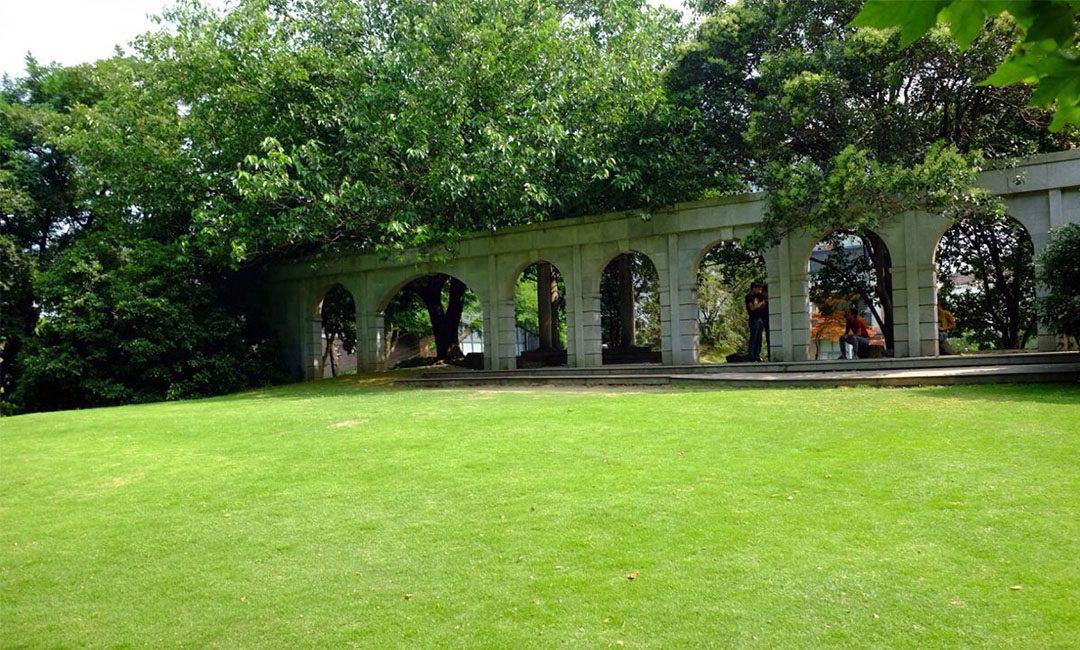 洛阳大了学微信加粉案例