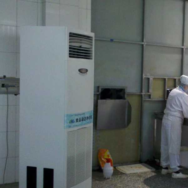 洛阳食品正负离子空气杀菌器